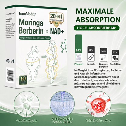 InnoMedix® Moringa Berberin x NAD+ 20-IN-1 Fortgeschrittenes Nano-Mikronadel-Pflaster (Nur einmal täglich anwenden – sichtbare Veränderungen in nur 7 Tagen.)
