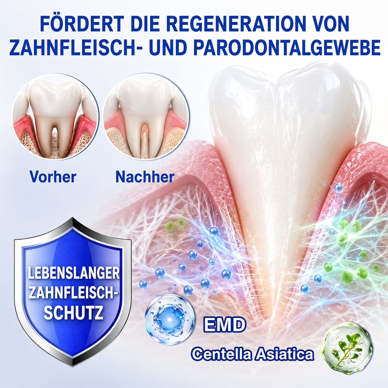 [Noch 5 Minuten!] Healrize® GumRevive Gel zur Regeneration des Zahnhalteapparats